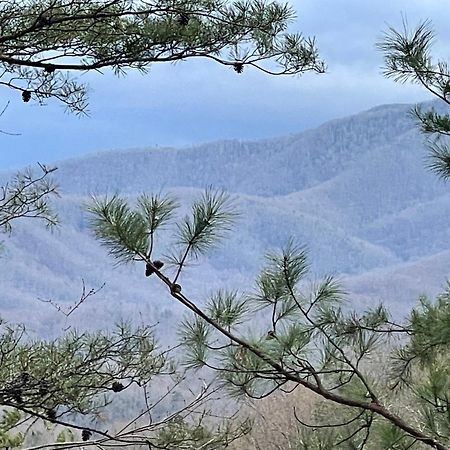 Mountain Love Nest Gatlinburg Esterno foto