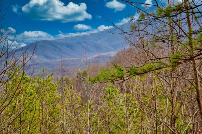 Mountain Love Nest Gatlinburg Esterno foto