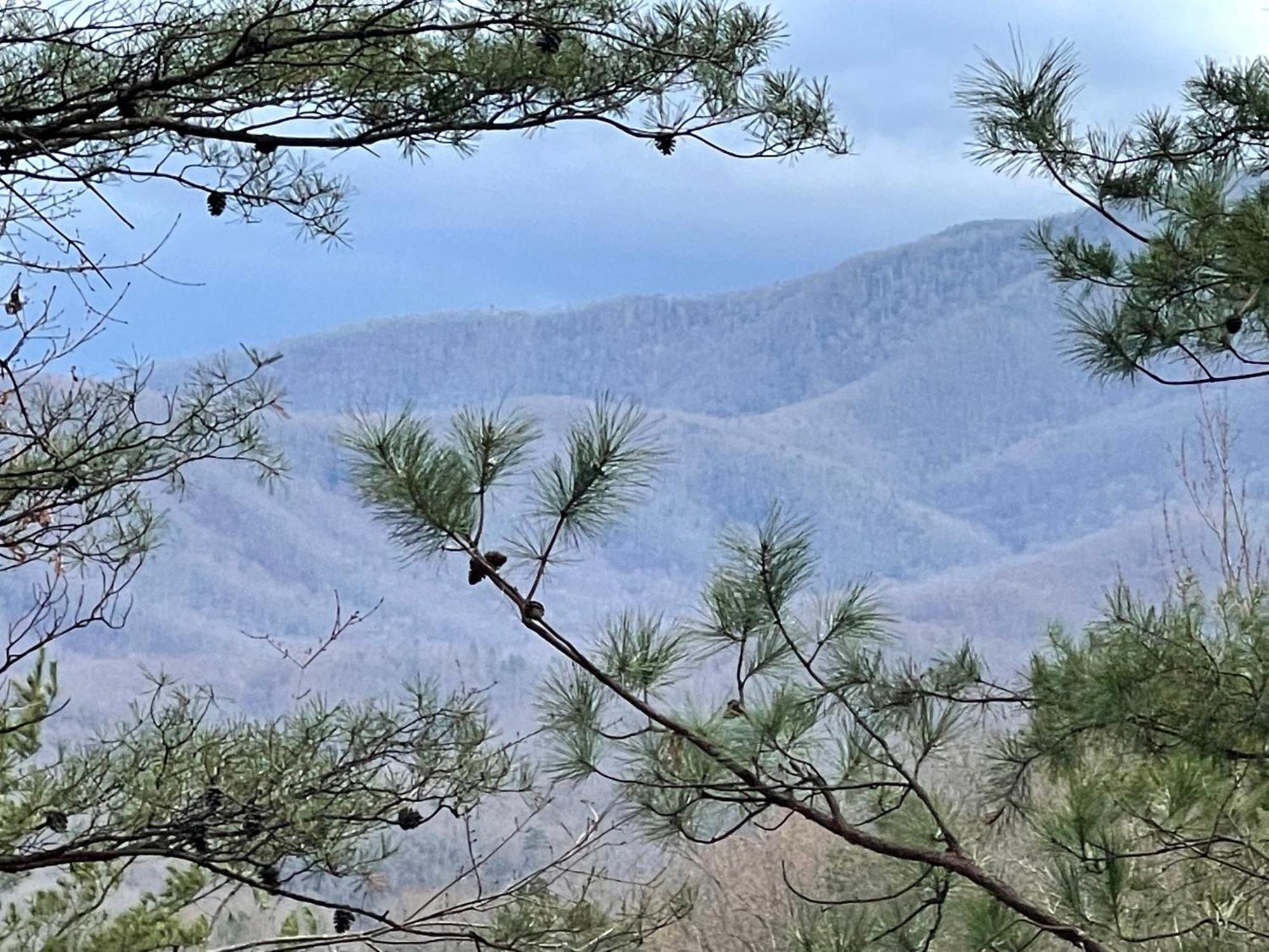 Mountain Love Nest Gatlinburg Esterno foto